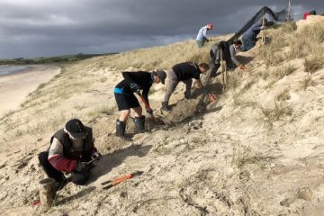 Pest-fence-extension