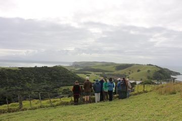 People looking at Tawharanui