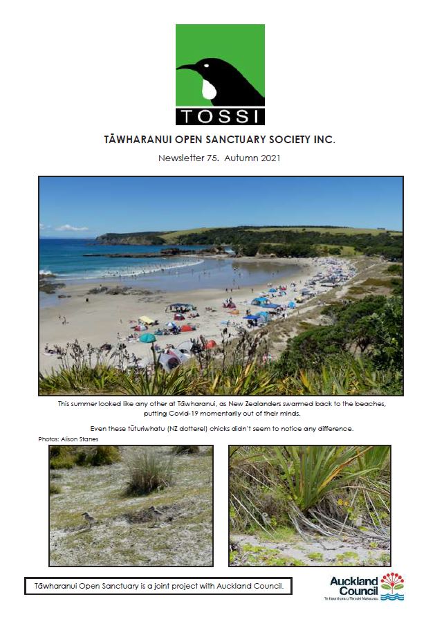 TOSSI newsltter autumn 2021